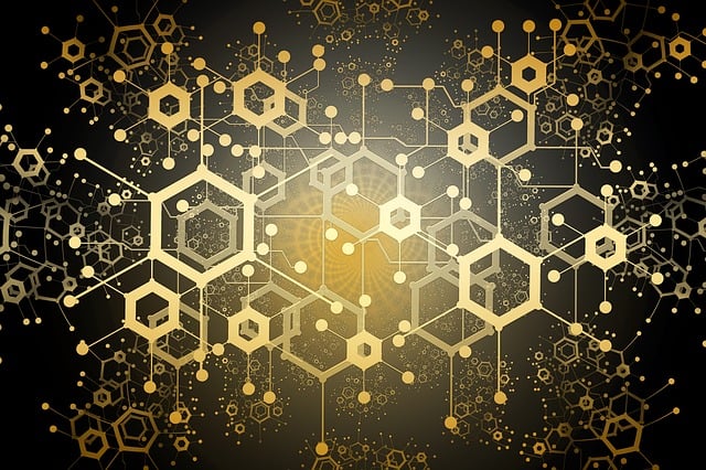 Digital Tools